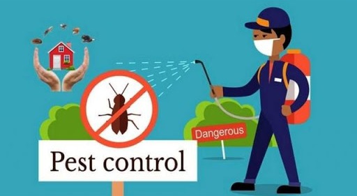 Best Pest Control Service In Darbhanga