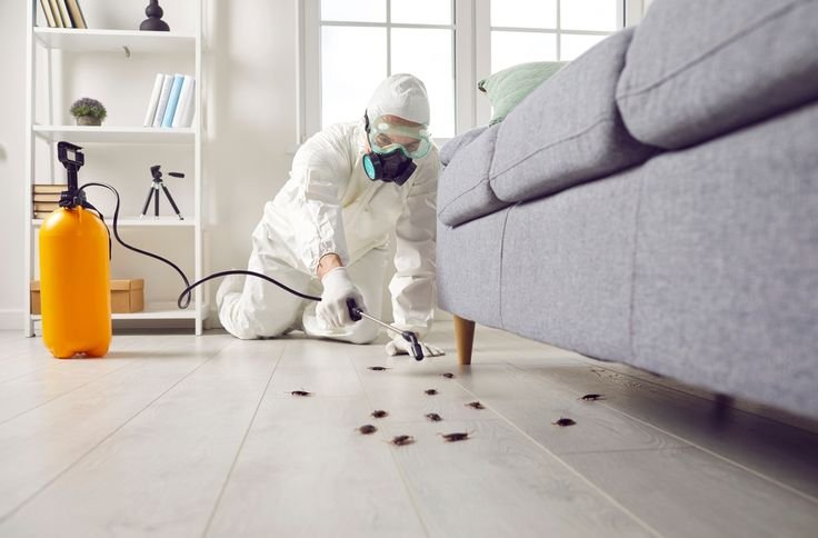 Jharkhand's Best Pest Control Services | Inzila