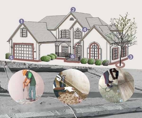 Effective Termite Control Solutions Near You – Long-Lasting Protection Guaranteed