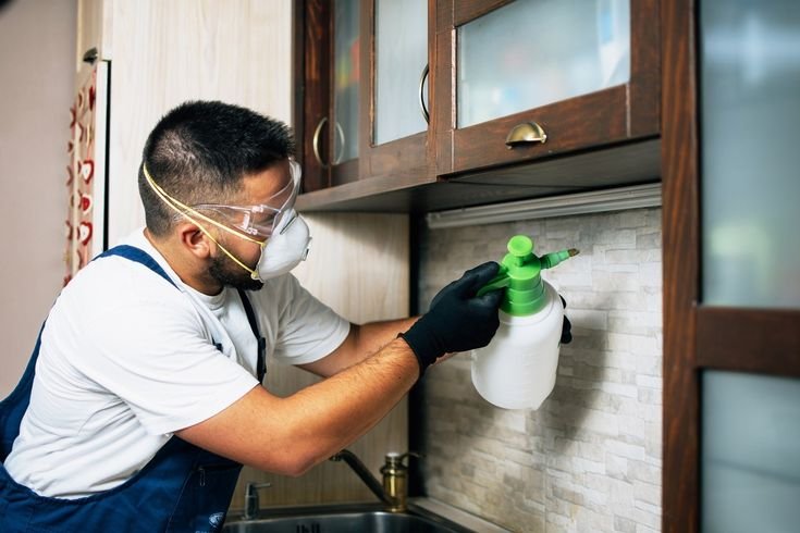 Hire the Best Local Pest Control Experts